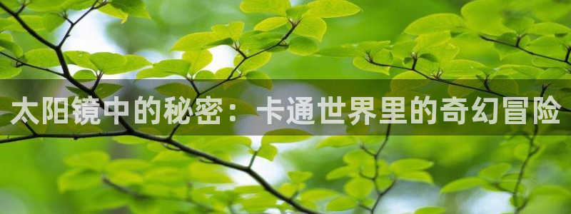 辉达娱乐官网