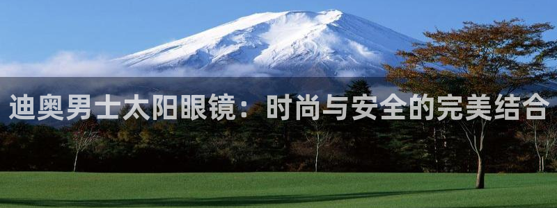 辉达集团官方网站
