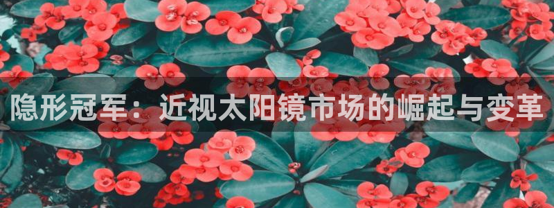 信誉辉达娱乐