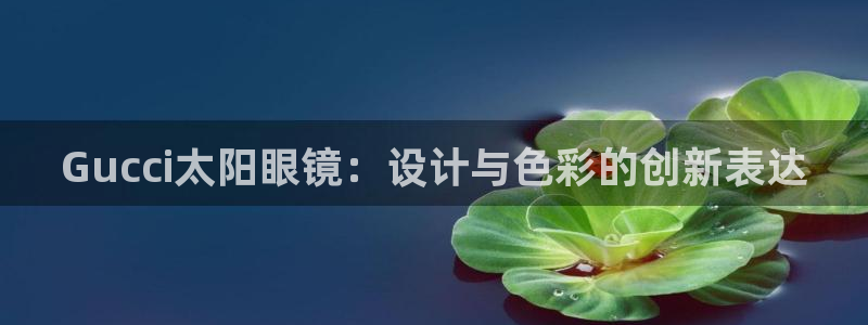 辉达平台官网首页