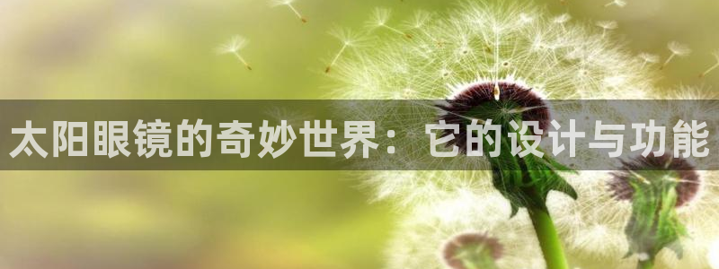 辉达娱乐总部