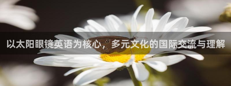 辉达娱乐最新现状