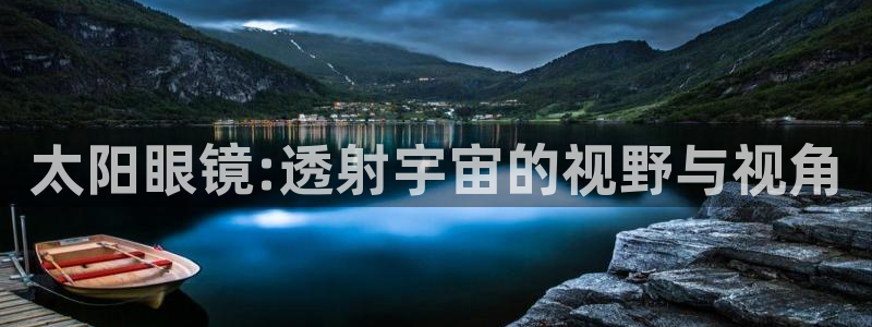 辉达娱乐公司