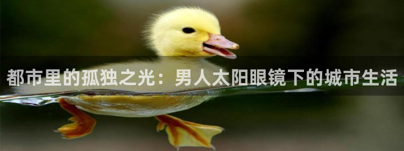 辉达娱乐排列三