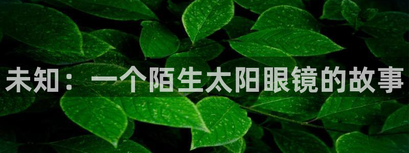 辉达娱乐app
