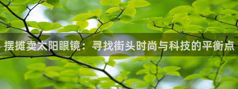 辉达娱乐公司