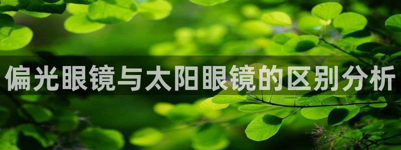 辉达娱乐待遇