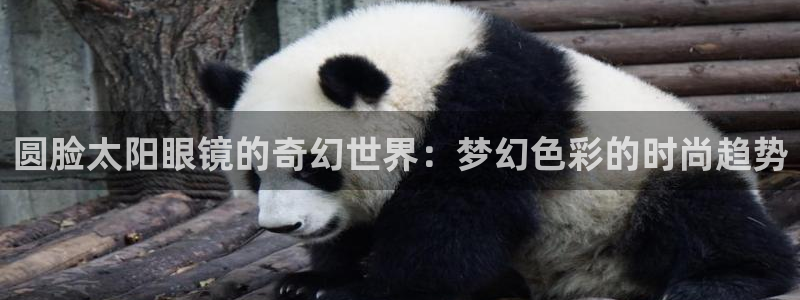 辉达平台娱乐怎么样