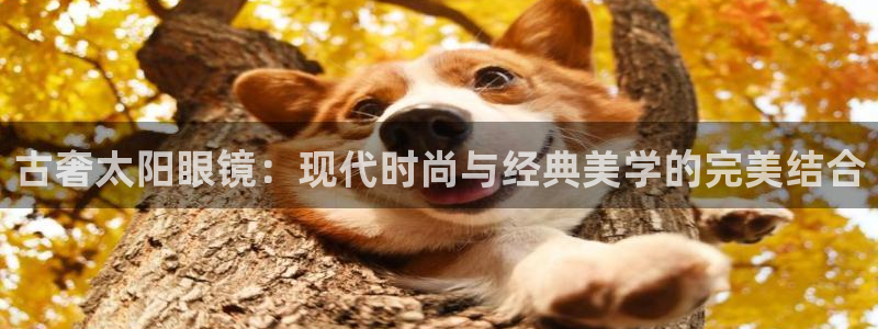 辉达娱乐 75505