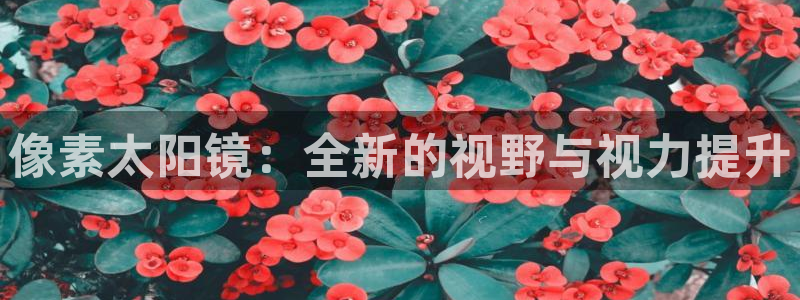 辉达娱乐广东11选5