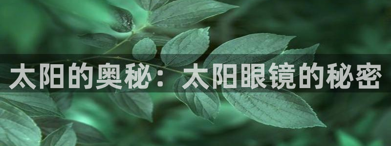 辉达平台官网电话