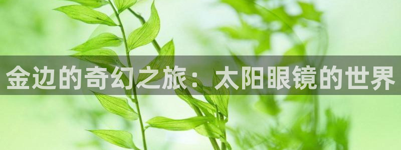 辉达娱乐招商