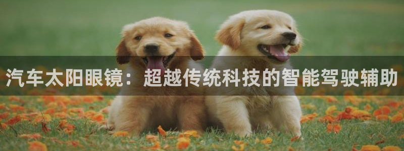 龙腾辉达电子娱乐
