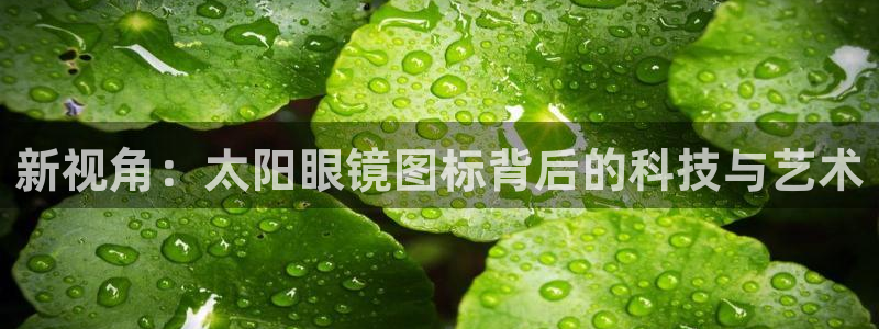 辉达怎么样