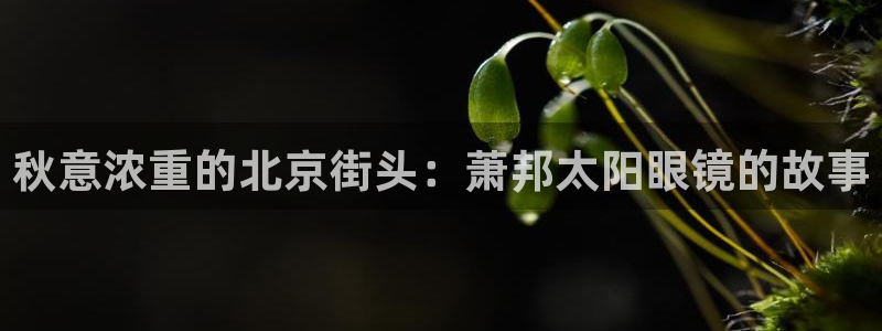 辉达娱乐己75505