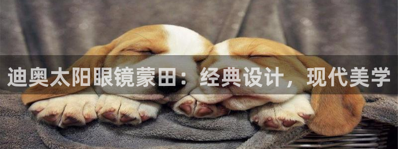 辉达平台官网首页