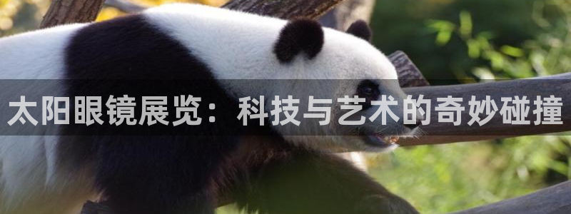 代理辉达娱乐官方网址