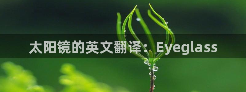 辉达娱乐线路检测