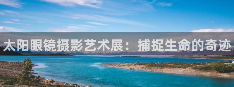 辉达娱乐计划软件