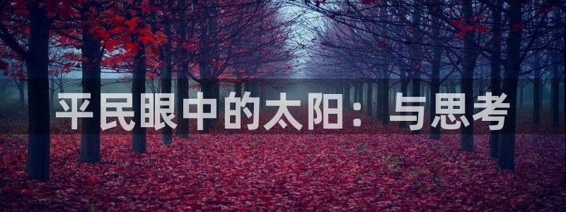 辉达平台官网电话