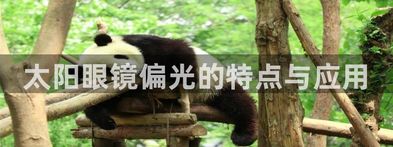 正规辉达娱乐在线游戏