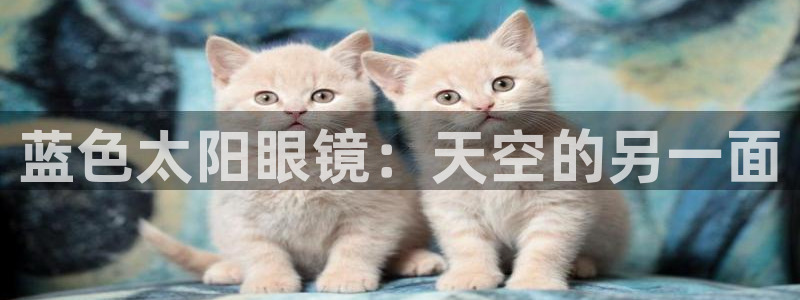 辉达娱乐体育竞猜