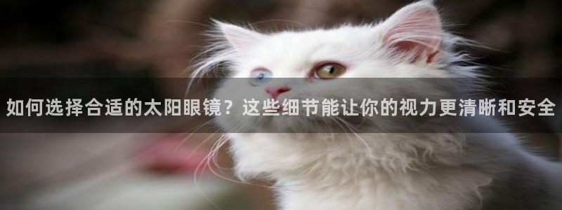 辉达娱乐五39444