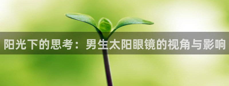 辉达娱乐属于什么档次