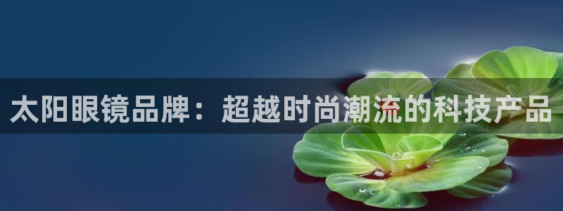 辉达平台娱乐怎么样