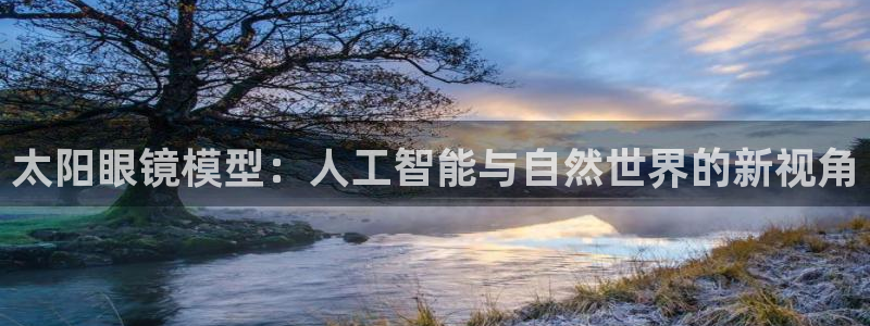 辉达娱乐加q75775