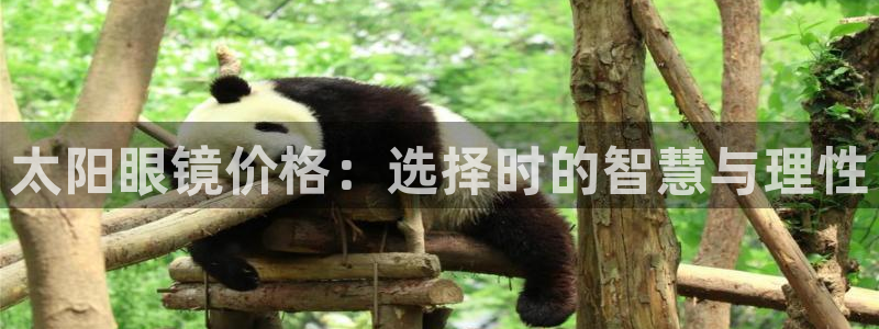 辉达娱乐丿39444