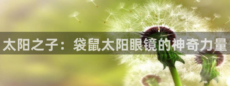 辉达娱乐最新版本更新内容