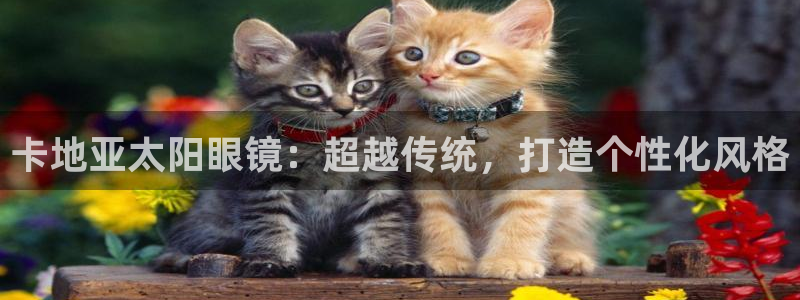 辉达娱乐线路检测