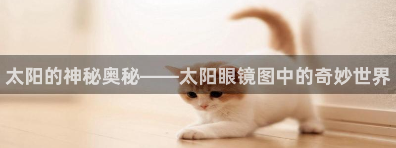 辉达娱乐五39444