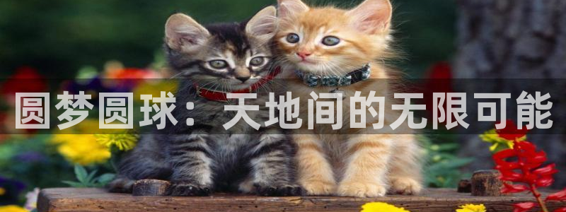 正规辉达娱乐官方网址