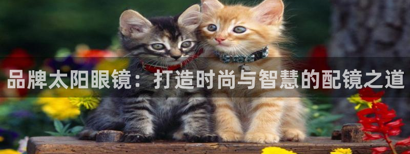 辉达平台官网下载