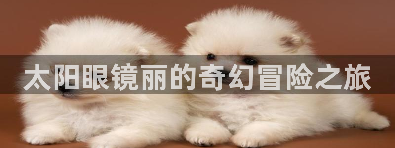 辉达娱乐五75505