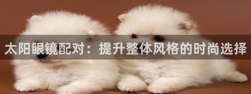 辉达平台官网电话