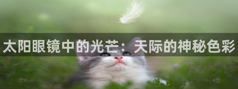 辉达平台官网下载