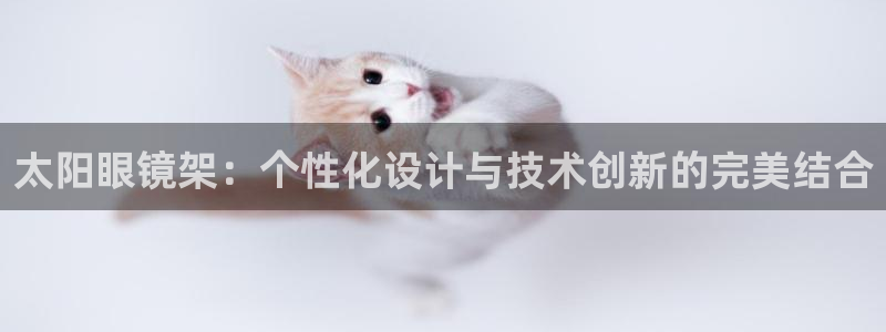 信誉辉达娱乐平台