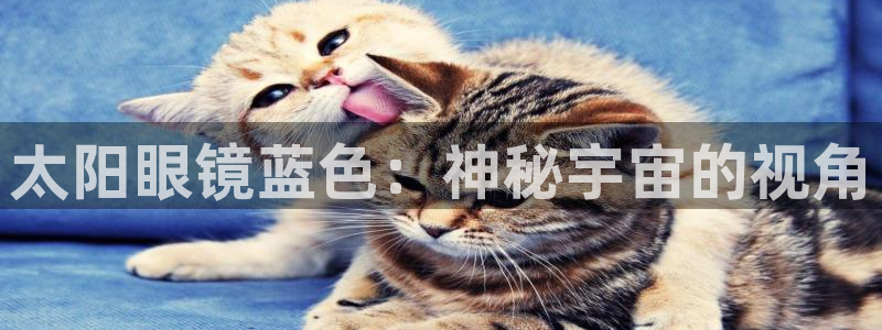 辉达平台官网下载