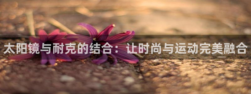 辉达平台官网电话