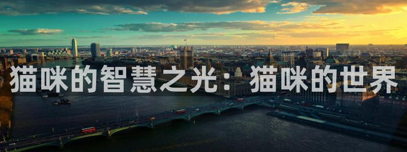 正规辉达娱乐平台