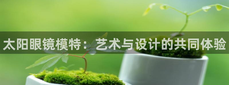 辉达娱乐己75505