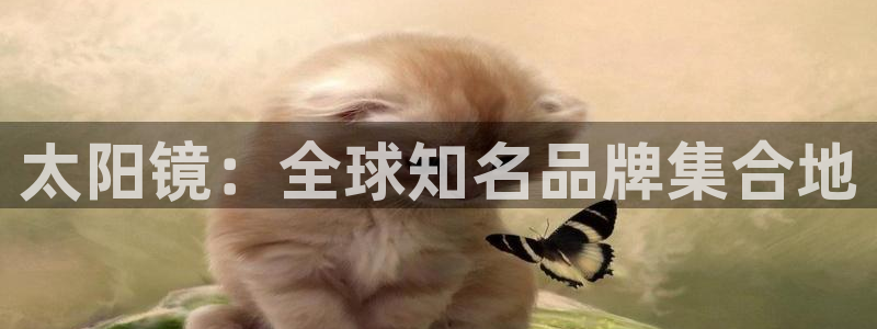 辉达娱乐正规吗