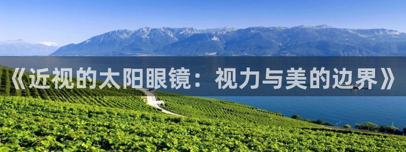 龙腾辉达电子娱乐