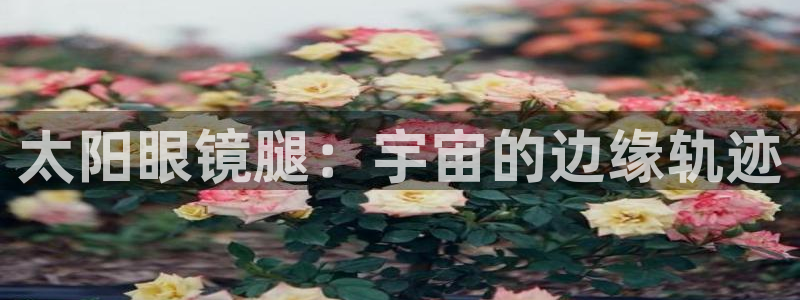 辉达娱乐电子游艺