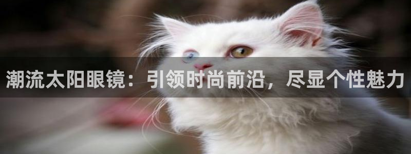 辉达娱乐ag游戏平台