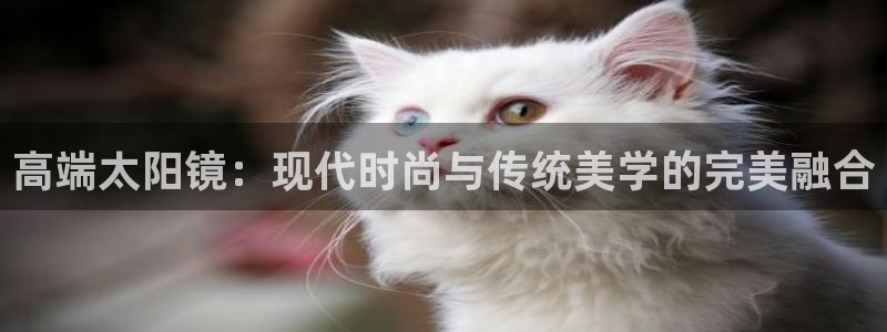 辉达娱乐重庆时时彩