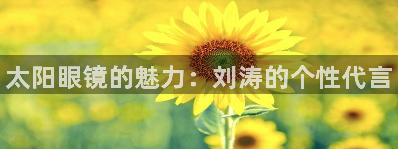 辉达娱乐体育竞猜